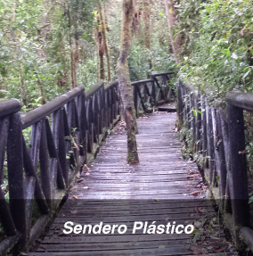 construcción civil ingeniería cálculos estructura estructurales viga cemento hierro madera decks piso columna viga pasos pañete impermeabilizante plásticos abs pvc rejilla tapa hermético squash box caja conexión fachada caseta casa bodega formaleta placa entibado rejilla cielo razo zapata pilote muelle escalera cercha correa panel decorativo confort pagoda vehicular peatonal ptar desarenador skimer graderías fachada persiana pérgolas columpios rodadero rodillos escaleras túnel botilito plástico antialérgico mecánicos Parque acuático; Parque de atracciones&nbsp;o&nbsp;diversiones, relacionados con estos encontramos un&nbsp;parque temático&nbsp;o un&nbsp;parque acuático Parque temático Parque zoológico Parque nacional Parque infantil Parque para bebés Parque urbano Espacio de recreación Cultura infantil Juego Columpio Tobogán Tiovivo (juego) Balancín (ocio) actividad lúdica físico entrenamiento tercera edad articulación capacitación entretenimiento juego edad desarrollo caseta AMOBLAMIENTO MUEBLES PLASTICO POLIMERO POLIPROPILENO PVC POLIETILENO POLIESTIRENO PET ABS SILLAS ARMARIO LOCKER CASILLERO PAPELERA RECICLAGE HIGIENICO ESTERILIZABLE ESTERIL CONFORT TERMICO ASTILLA MADERA DECORACION DECORATIVO HIGIENICO FORRO TAPIZADO AISLANTE ANTICORROSIVO MANTENIMIENTO DISEÑO SOBRE MEDIDAS  SALAS COMEDORES CONFORT INDUSTRIAL VESTIER construcción civil ingeniería cálculos estructura estructurales viga cemento hierro madera decks piso columna viga pasos pañete impermeabilizante plásticos abs pvc rejilla tapa hermético squash box caja conexión fachada caseta casa bodega formaleta placa entibado rejilla cielo razo zapata pilote muelle escalera cercha correa panel decorativo confort pagoda vehicular peatonal ptar desarenador skimer graderías fachada persiana pérgolas CLORO RESISTENTE CERRAMIENTO ELECTRICO SUBESTACION CONTENER PISCINAS LEY NORMA PLASTICO POLIMERO POLIPROPILENO PVC POLIETILENO POLIESTIRENO PET ABS AISLANTE RESISTENTE ANTICORROSIVO ACUSTICO LEY 1209 BARROTES ENREJADO REJA  ICONTEC  DETENER DECORATIVO MUEBLES PLASTICO POLIMERO POLIPROPILENO PVC POLIETILENO POLIESTIRENO PET ABS RECICLAGE HIGIENICO ESTERILIZABLE ESTERIL TERMICO AISLANTE ELECTRICO PINTURA ANTICORROSIVO CONDUCTOR COBERTURA PANORAMICO DESAGÜES CAÑERÍA DUCTO AGUA LAVADO CARCAMO NIVEL FREÁTICO TRAMPA GRASA SKIMER PTAR TRATAMIENTO DE AGUAS ALCANTARILLADO ACUEDUCTO  DISPOSITIVO COMPUERTA CHARNELA VALVULA ANTIRETORNO CANALES ACUEDUCTOS REJILLAS TAPAS VALVULAS MEDIDORES AGUA POTABLE  AGUAS NEGRAS GRASA BARRENO  ALUMINIO METAL BOX POZO INSPECCION  TELEMETRIA IMPERMEABILIZANTE IMPERMEABILIZACION SUBTERRANEO DUCTO CONDUCCION AMOBLAMIENTO MUEBLES PLASTICO POLIMERO POLIPROPILENO PVC POLIETILENO POLIESTIRENO PET ABS SILLAS ARMARIO LOCKER CASILLERO PAPELERA RECICLAGE HIGIENICO ESTERILIZABLE ESTERIL CONFORT TERMICO ASTILLA MADERA DECORACION DECORATIVO HIGIENICO FORRO TAPIZADO AISLANTE ANTICORROSIVO MANTENIMIENTO DISEÑO SOBRE MEDIDAS  SALAS COMEDORES CONFORT INDUSTRIAL VESTIER puerta bisagra acero inoxidable puentes ingenieria flotantes antideslizante  vehicular peatonal  mar rio laguna lancha barco atracar amarre lazo cabo nivel de agua  embarque  costa playa isla industrial turístico turismo larga vida biodegradable madera plástica salinidad sal marina cloro gorgojo termita deslizante antideslizante panorámico jardín greendeck pilones pilares mojones pérgolas celosías terraza balcón estética impermeable no absorbente drenante estético maderas coníferas teca Celosía Gazebo Patio Pérgola arquitectónicos durables arco baranda hormigón