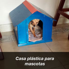 Casa Plástica para mascotas Fábrica de casas para perros plásticas en Bogotá  Casas perros plásticas  Fábrica de casas plásticas para perros  Casas para perros  Casas para perros en madera Bogotá  Venta de casas para perros grandes en Bogotá  Fabrica casas para perros Bogotá Casa para perros Metálicas Casas para perros en madera Proveedor de casas para Mascotas Fabricantes de Casas para Mascotas  Casas Plásticas para mascotas     